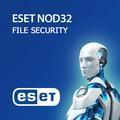 Антивирус ESET NOD32 File Security для Microsoft Windows Server 2ПК (1 год)