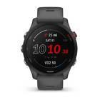 Смарт-часы Garmin Forerunner 255 Slate Gray серые