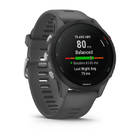 Смарт-часы Garmin Forerunner 255 Slate Gray серые