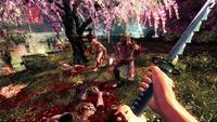 Игра для PS4 Shadow Warrior