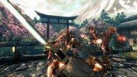 Игра для PS4 Shadow Warrior