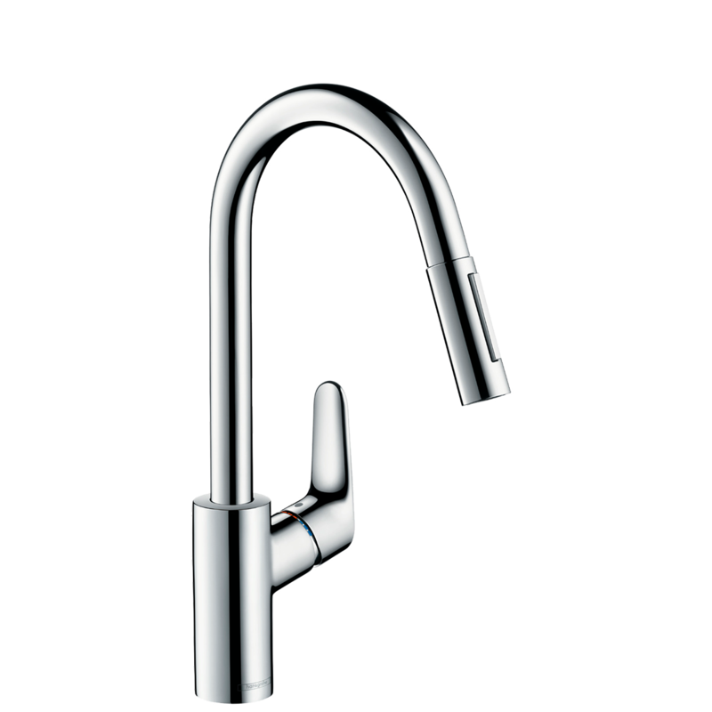 Смеситель для кухонной мойки Hansgrohe Focus 31815000